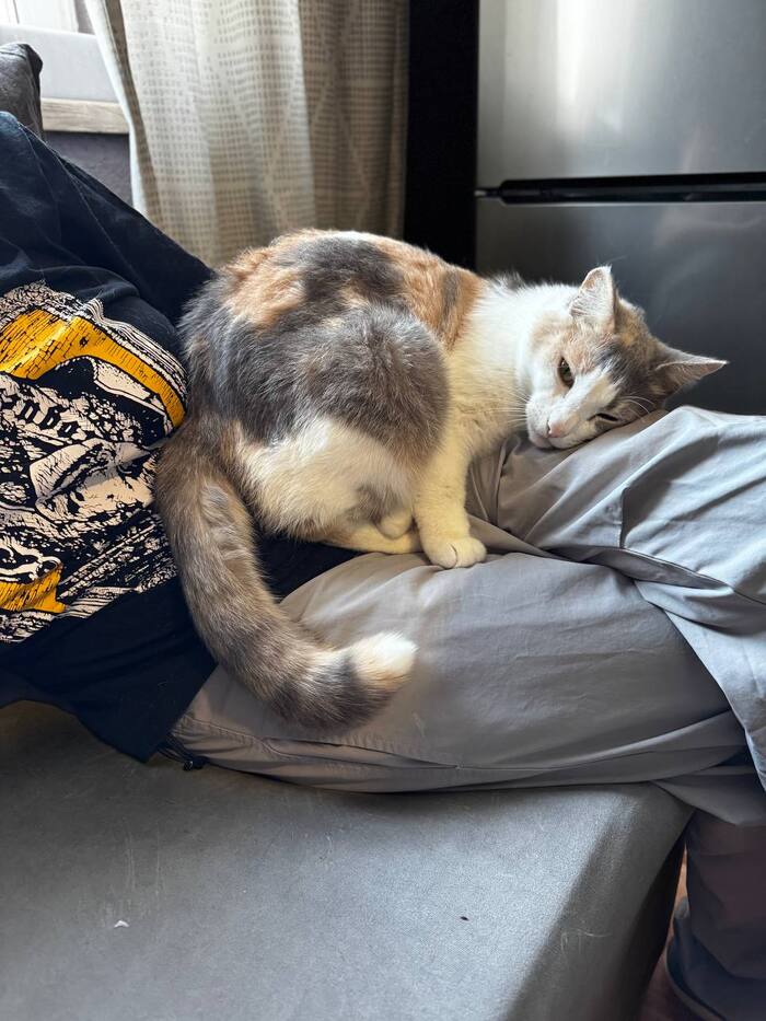 ��������� � ������ �������