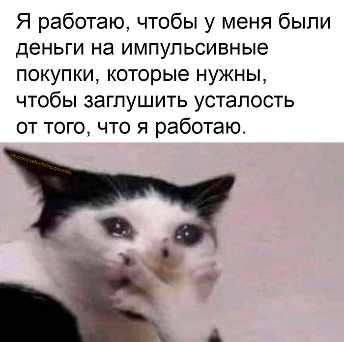 ����� <a href="https://pikabu.ru/story/beg_po_krugu_13782409?u=https%3A%2F%2Fvk.com%2Fvetochkinpalochkin%3Fz%3Dphoto822090804_456240761%252Fd1bb2275e26f5047a8&t=%D0%BE%D1%82%D1%81%D1%8E%D0%B4%D0%B0&h=64d143ebb166a86b18fabdb716e8d3df8c91d3bb" title="https://vk.com/vetochkinpalochkin?z=photo822090804_456240761%2Fd1bb2275e26f5047a8" target="_blank" rel="nofollow noopener">������</a>