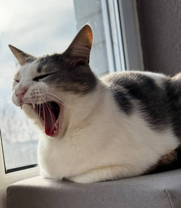 ����� - ��� ���������� ���� � ����