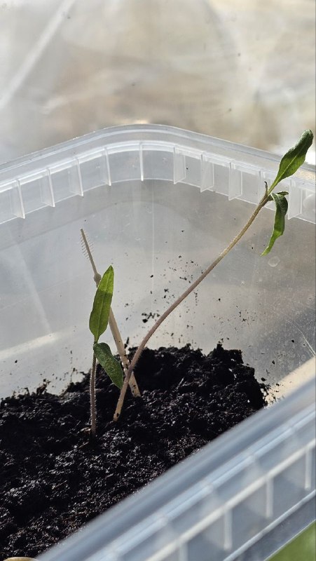 �������� �� ����