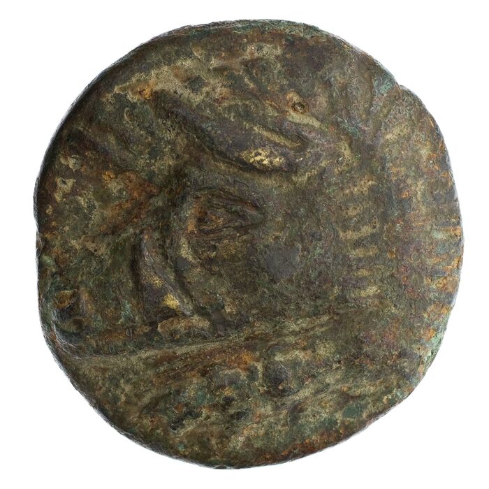 �� ������ ����� ������ ������