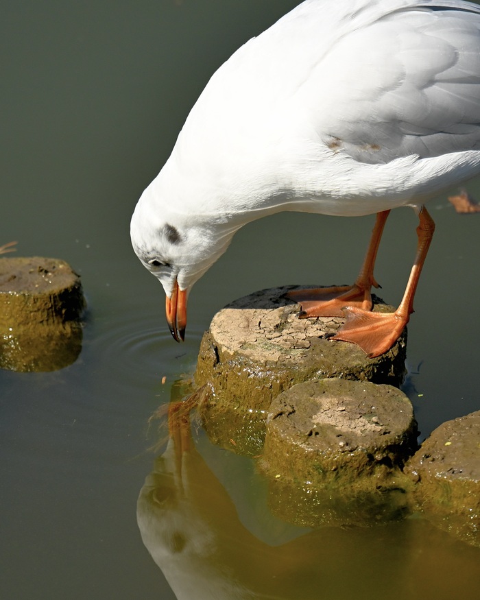 ��� ������, ��� ������ ���������, �-�-�-� ���� �����! �������, �����. ������, ��� �������� ����������� �����, ������� � ������ � � ������� ����� � ������ ������ �����, ��� ������ ������. 