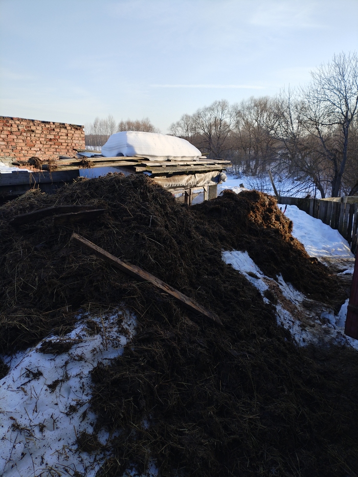 ���� ������� ������� ���������� �� ���� ����. ����� ������ �������, ������� �������������, ���������, ���� �� ���� �������.