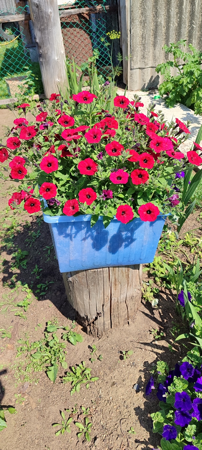 ��� ����� ������, � �������� �� ����������. ���� ��������, ������ ���������� ����� �� ����