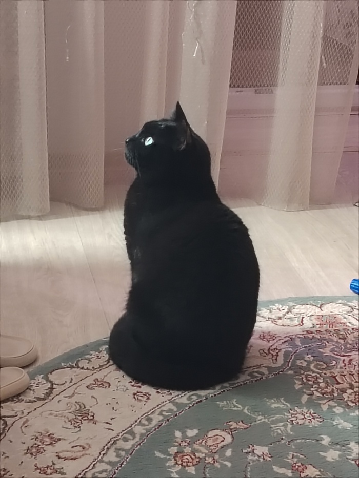 ��������� ������������...