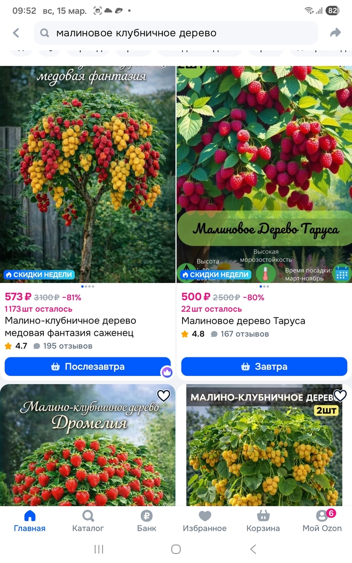 ���� ��� �� �������� ����� ����������� ������ (Rubus illecebrosus) �������� � ���������� �������� ��� �� ���� ����. ��� ������������ �������� �������� ���� ��� �� ����������� � ��������� ����� �� ������������. 