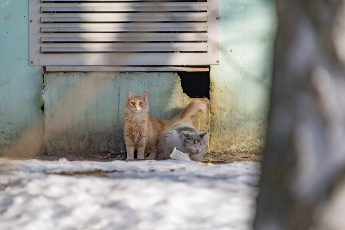 ���������� ������