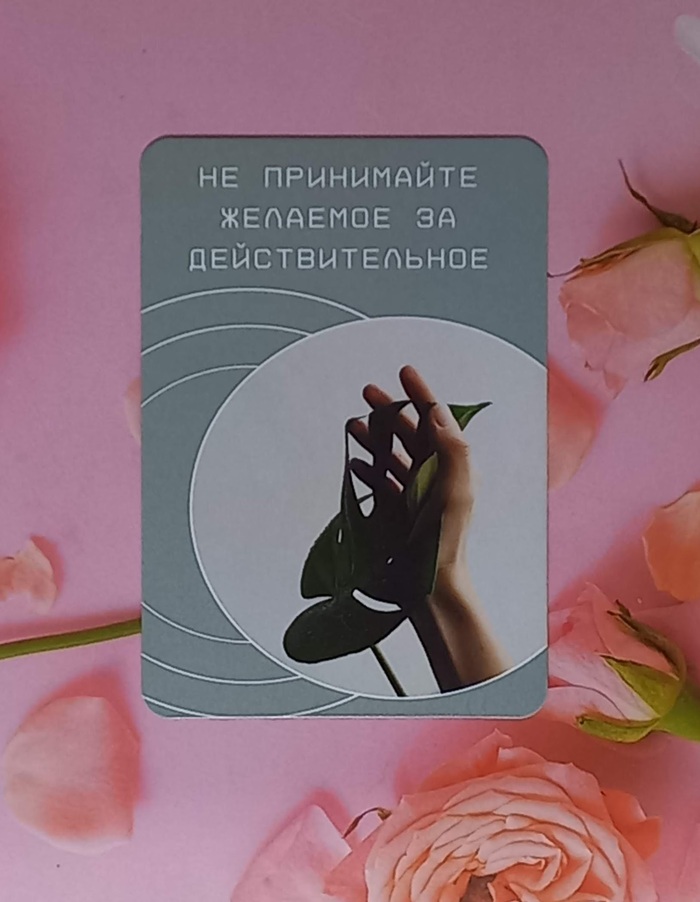 Послание дня