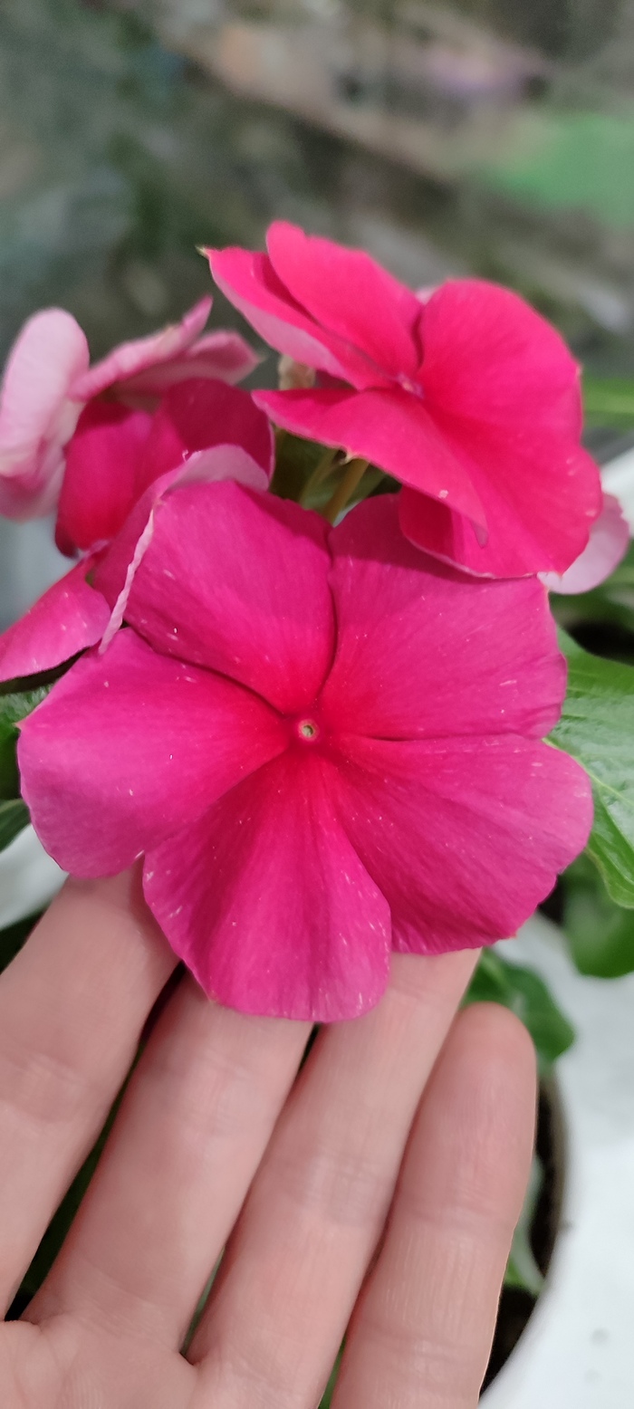 ����������. �������� ������ �� ���� �������