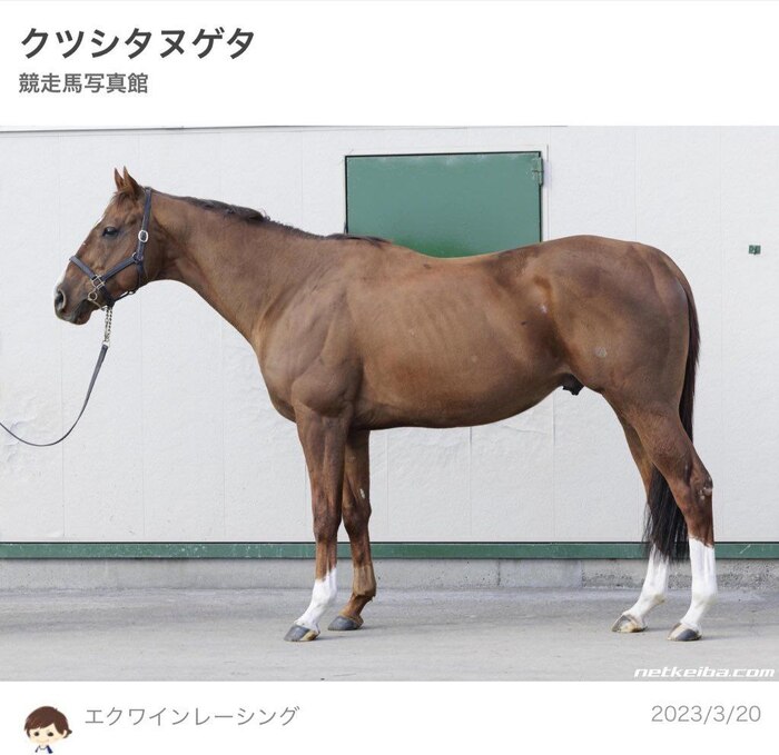 ��� ����: � ���� ������ �����