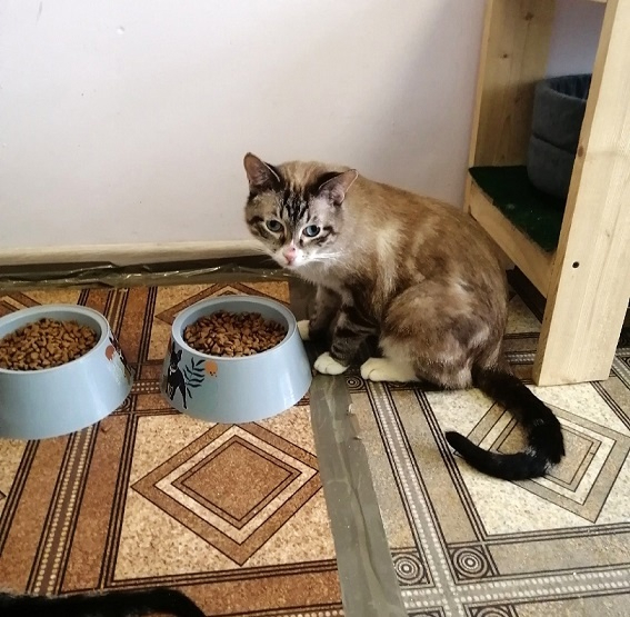 �������