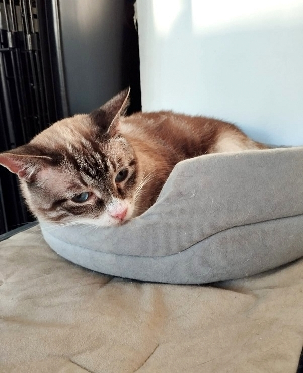 �������