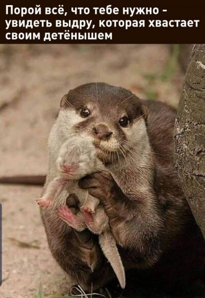 Было, но стоит повторить