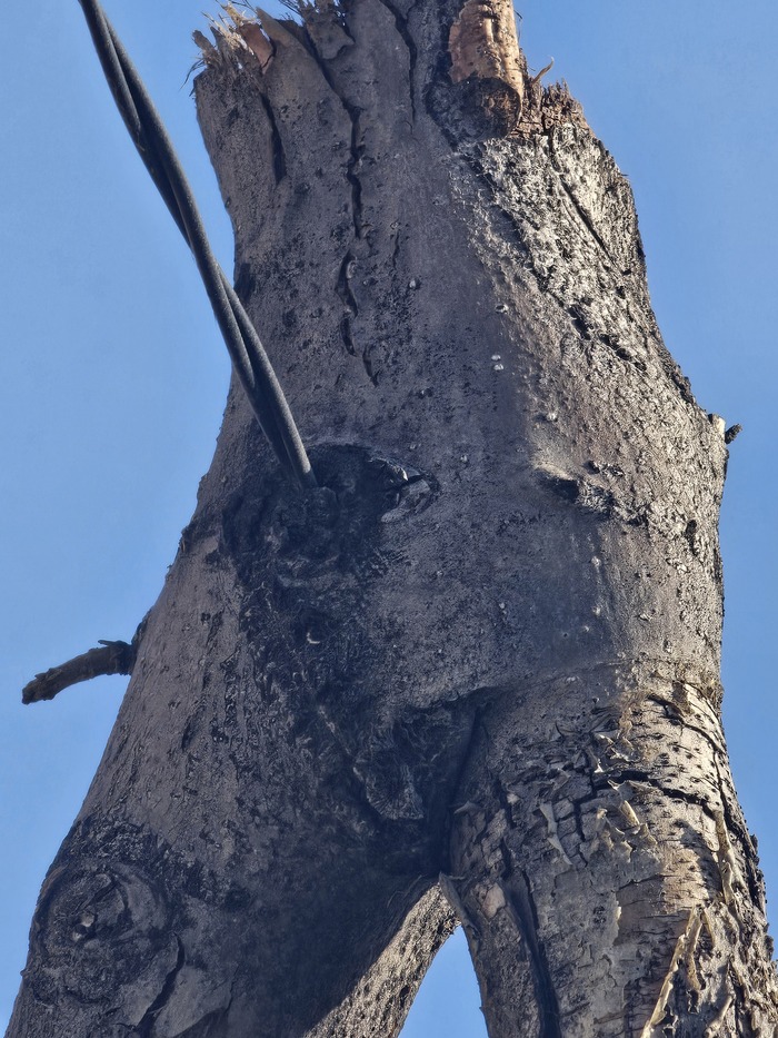 ���������! ������� ����!