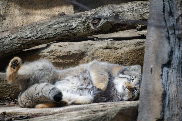 Выключите будильник, мешает !!!