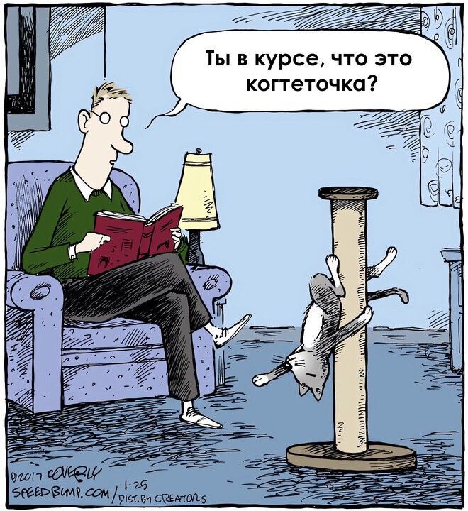 �� � �����, ��� ��� ����������?