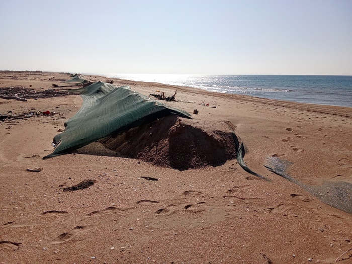 Песчаная коса к западу от Анапы в сторону ст.Благовещенской. Прошлой зимой для ограничения выброса мазута штормовыми волнами вглубь пляжей были насыпаны валы и укрыты сеткой для долговечности.