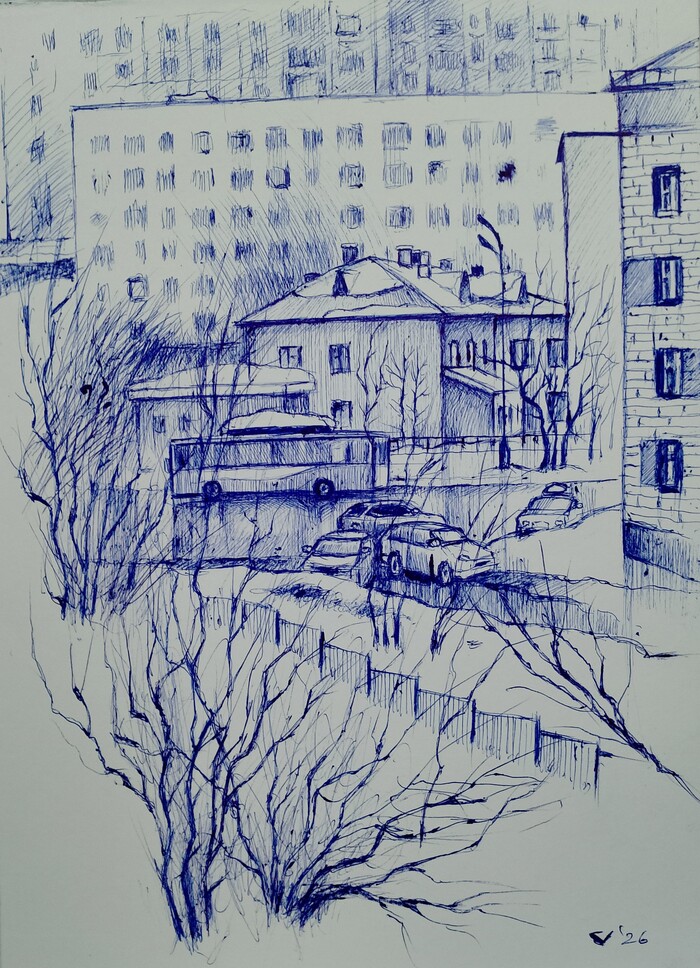 �����������