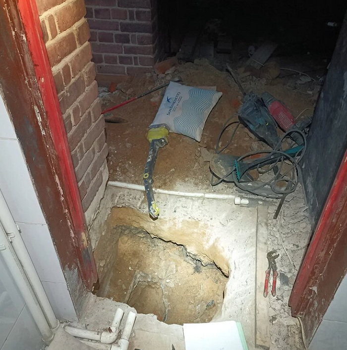 ���� ������ ����