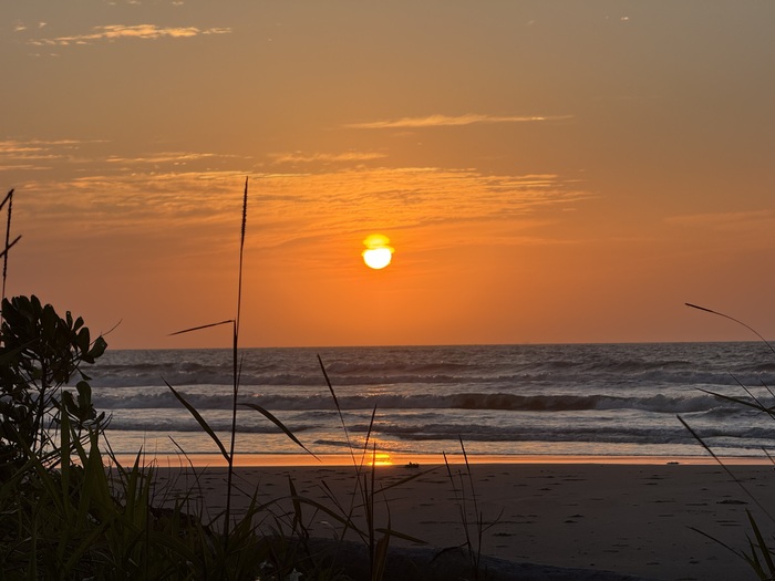 �� ������