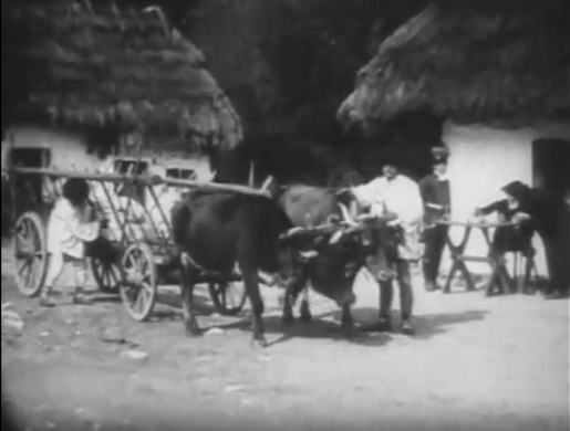 "������" �������� ������ ������. ������� � ���� ��� "����". "������"... ����� � ������ ��������?