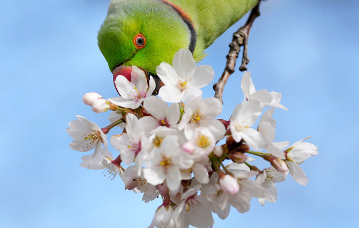 ��������� ������� � ����-���������� ����� �������//����: AP/����