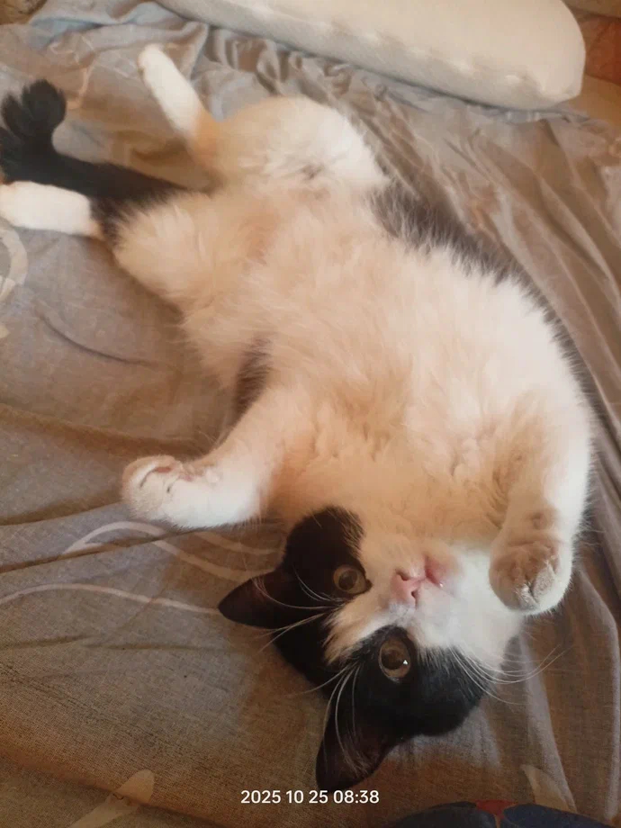 �������� ������� �������, ����� �� ����� �����, �� ���� �������� � ���� �������� ��� � ����� :) 