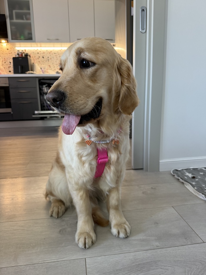 ��� ����� 🥰