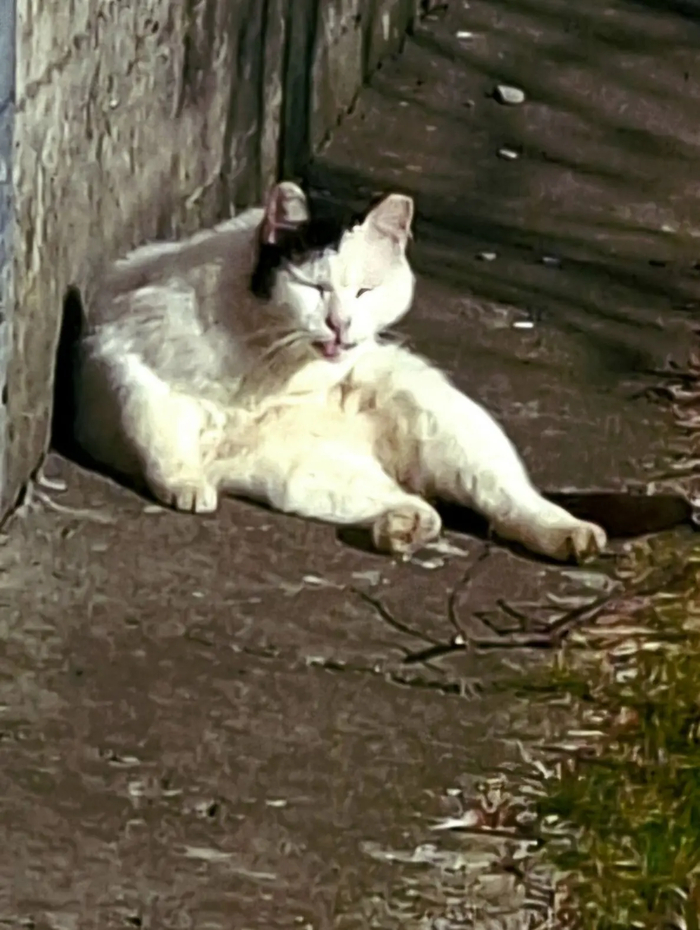 ������� �� ������ - ����������.