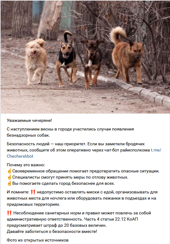 ������� ���� ����. �����