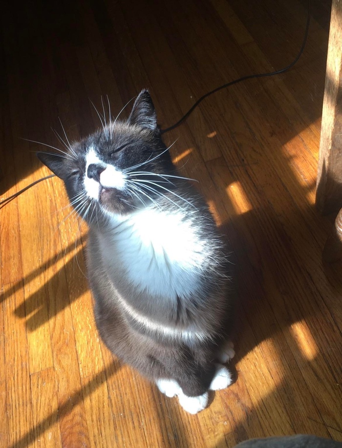 ����� ������, ��� ���������