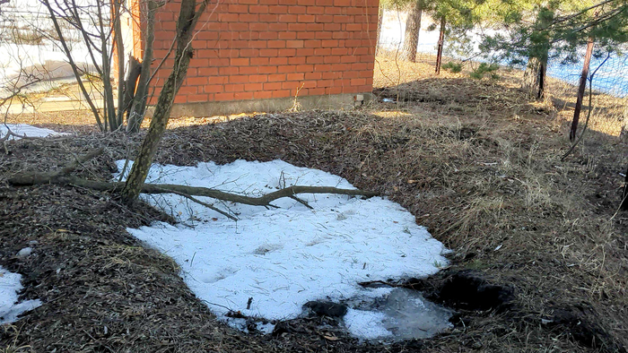 ������� �������� ���� ����� ������� ��� ����; �� � ���� ���������?