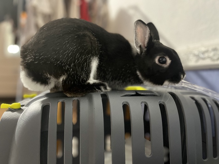 �������