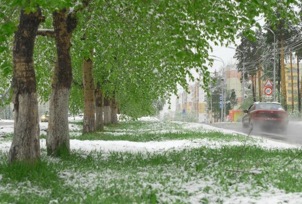 ���� ����� ����� ������ ���� � ������, ��� �������� � �����?