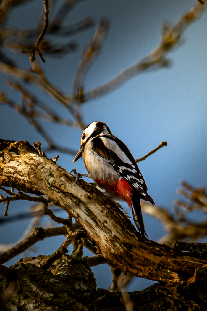 ������. �����. 2026