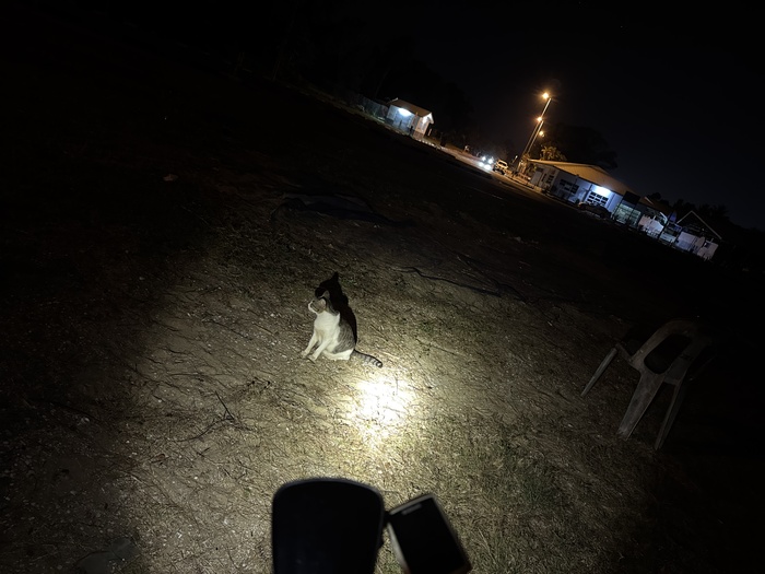 �� �� ������ ��� ����������?