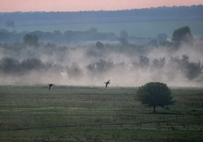 ���������� ���