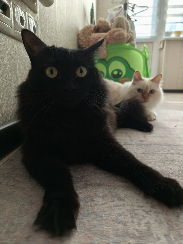 - �� ����� ����, ��?