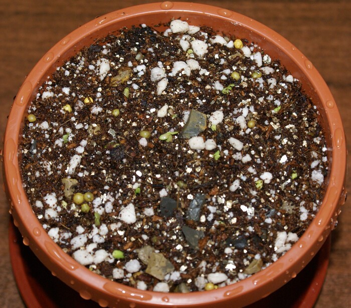 ����� ����� �������� �� �������� 14.03.26, ������� � �������� 19.03.26.