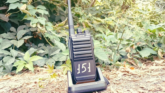 ���� �� ������ ������� ����������