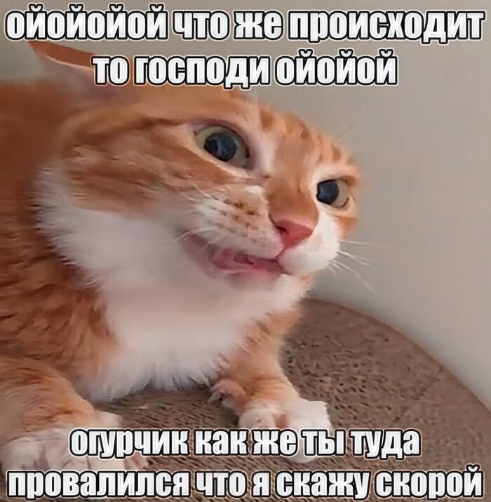 �����-���������