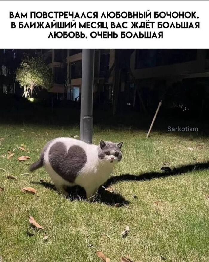 ��� ������