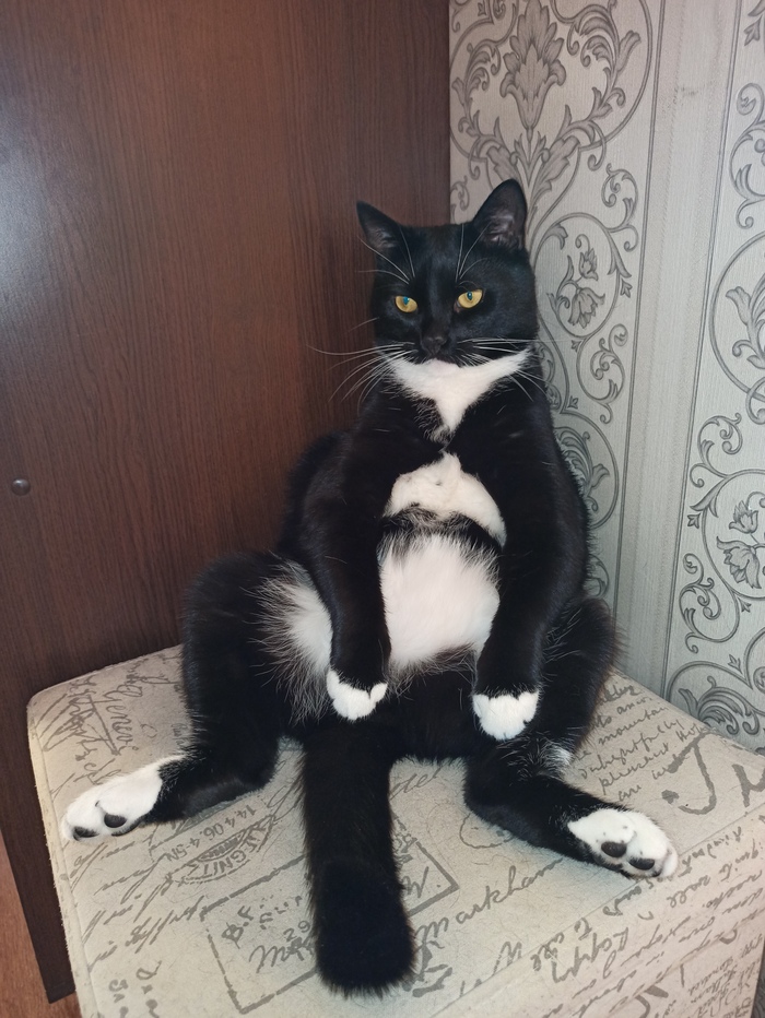 Абсолютно понял эту жизнь