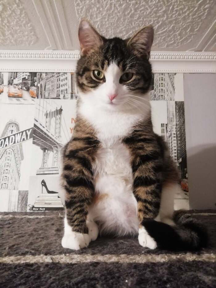 � ����� � �������?