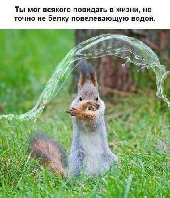 �����