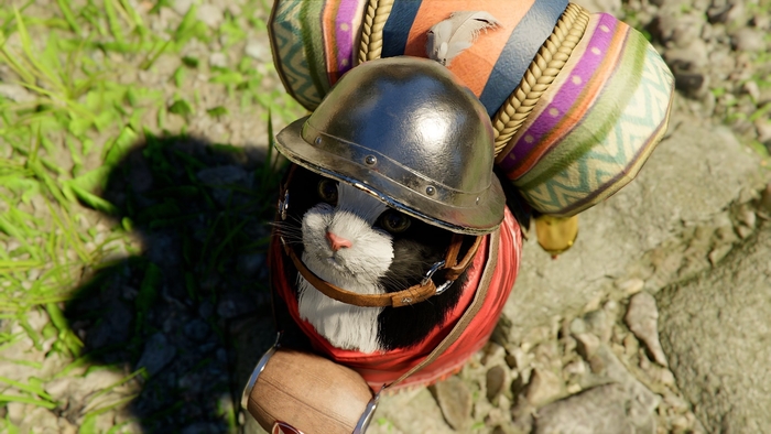 ����- crimson desert