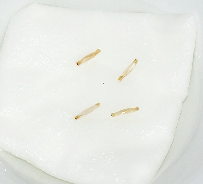 ����� �� �������� 24.03.26.