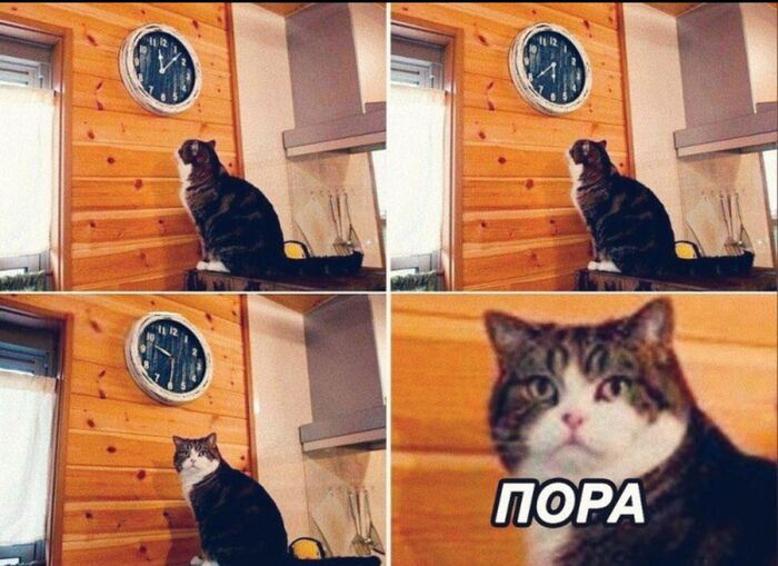 ����� �� ���� ��������� �������� � ������ ������������� ����� �� �������