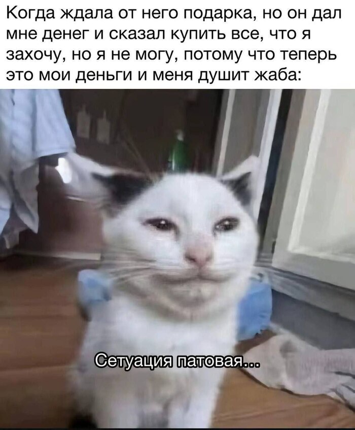 Подарил денег