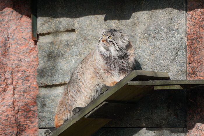 ����� ������� ����� ��������� ���� � ����� � ����: �������� "����������"